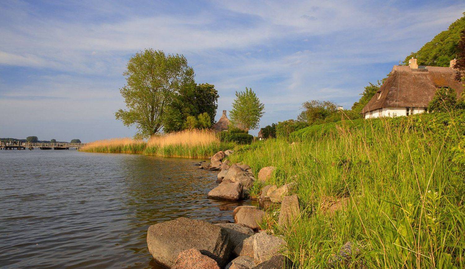 , Игорь Дубровский