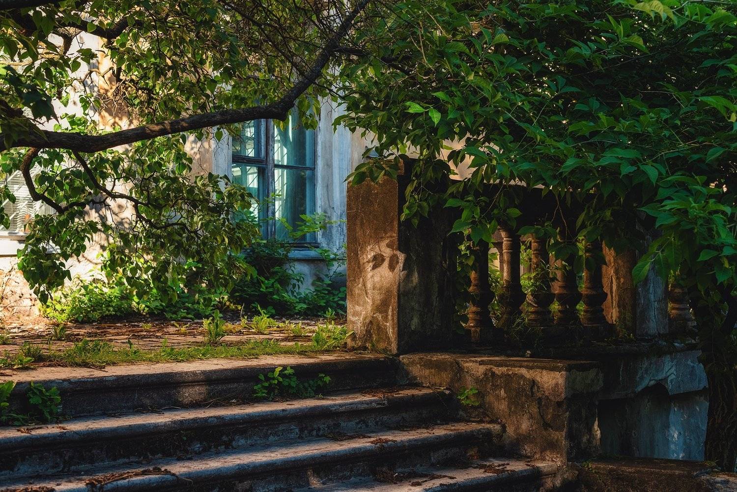 парк город зелень лестница окно уголок лето, Вавилова Елизавета