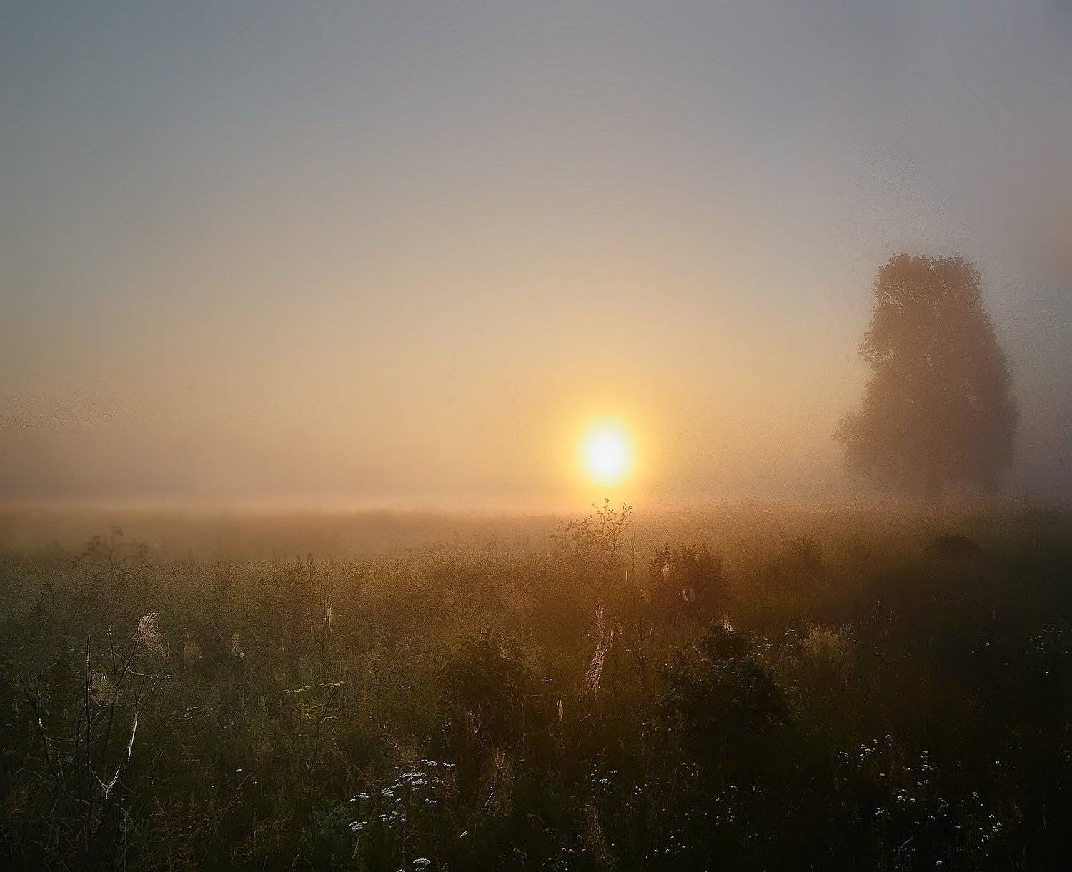 , Илья Мусатов