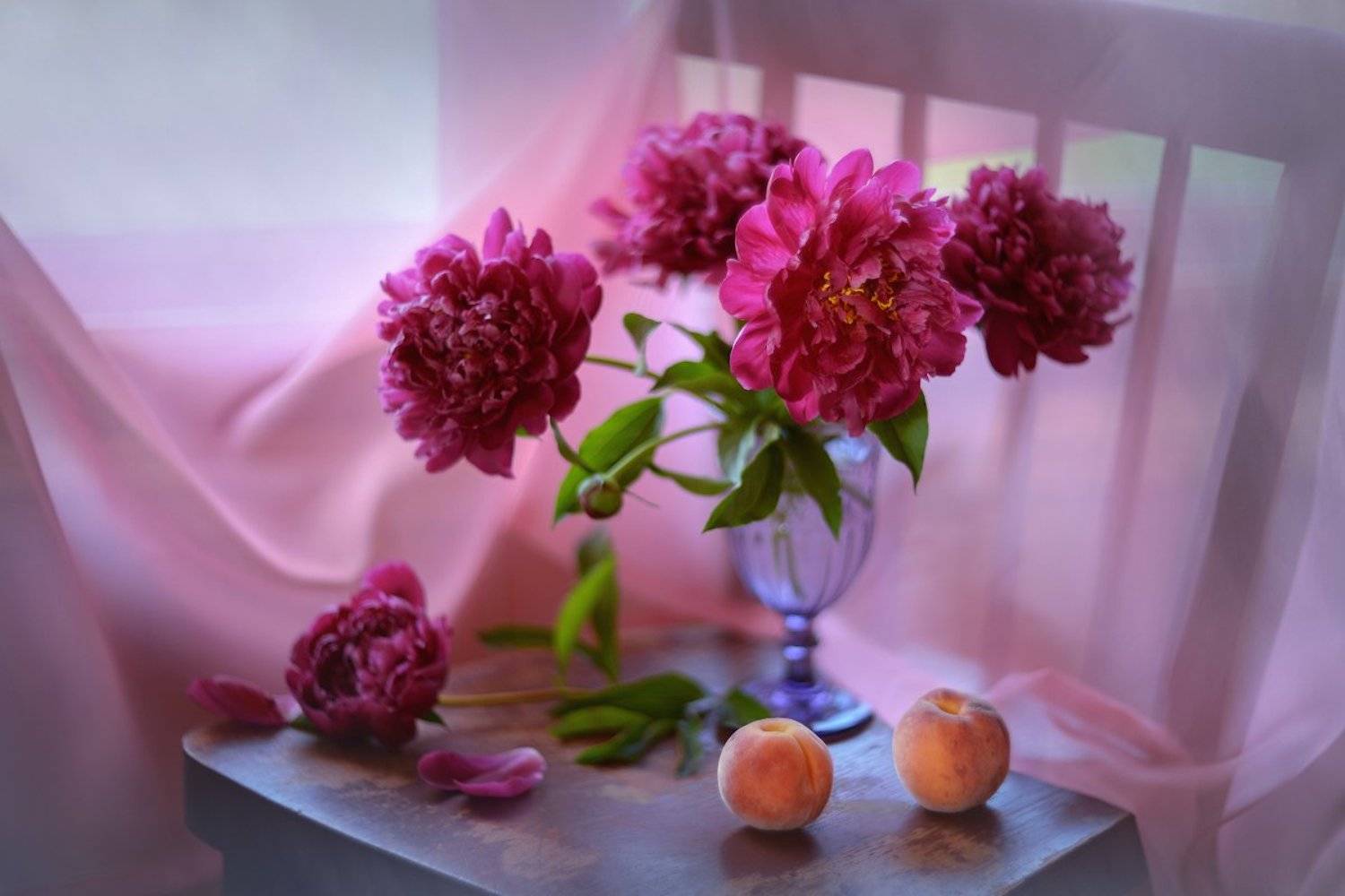 , Марина Никифорова