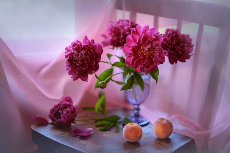 В розовой дымке пионов фото превью