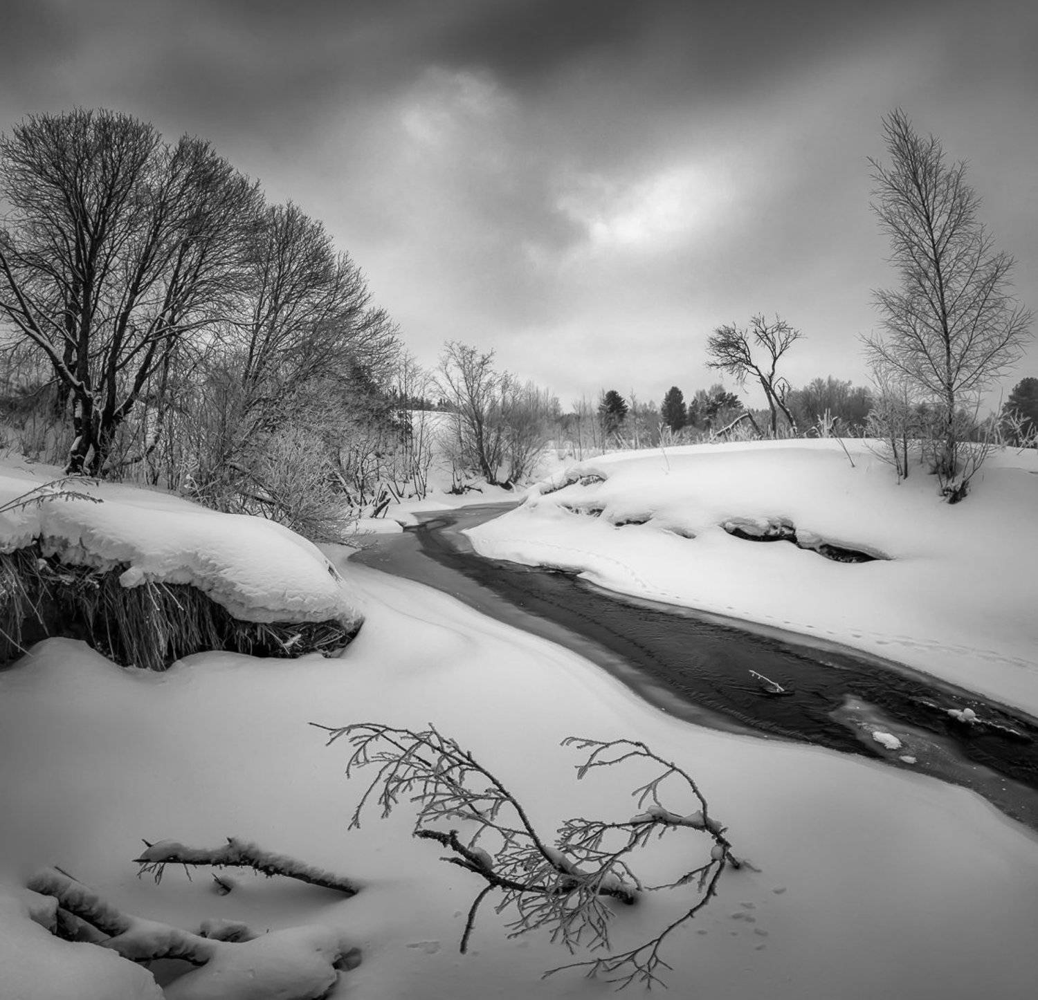 , Евгений Луцко