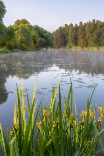 Рассвет на берегу
