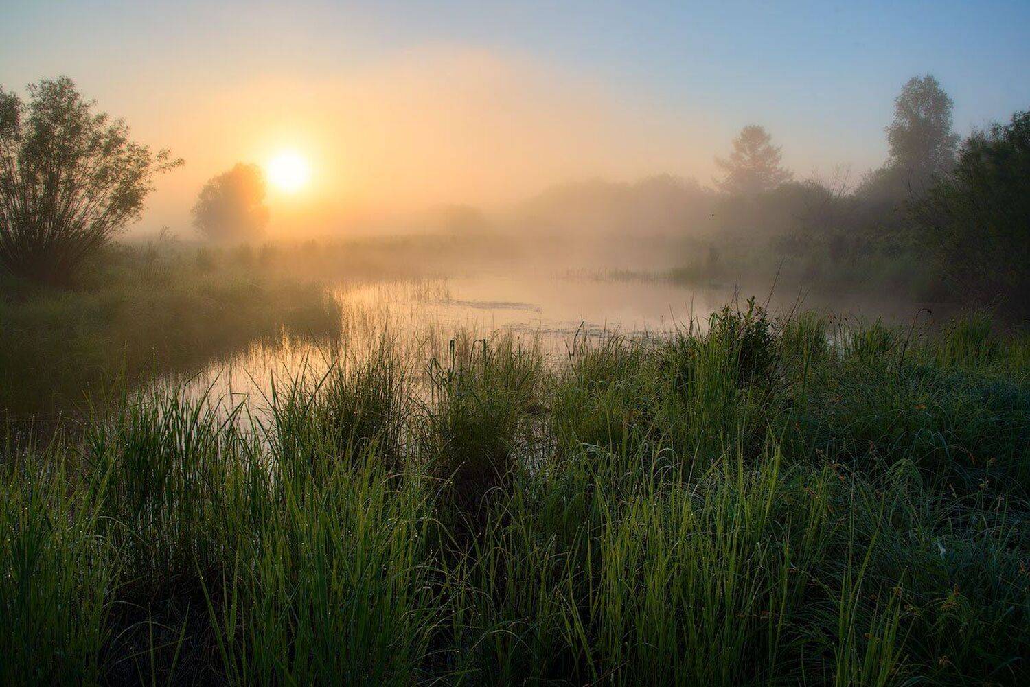 , Сергей Брагин