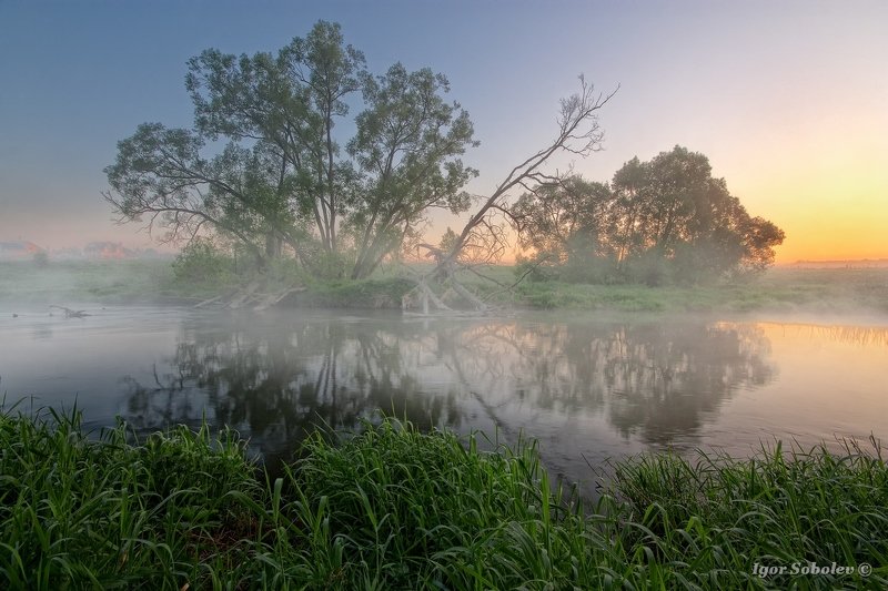 подмосковье, пейзаж, рассвет, moscow region, landscape, dawn Утро туманное фото превью