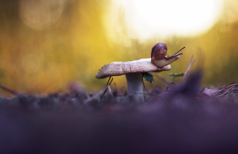 Вечер фото превью