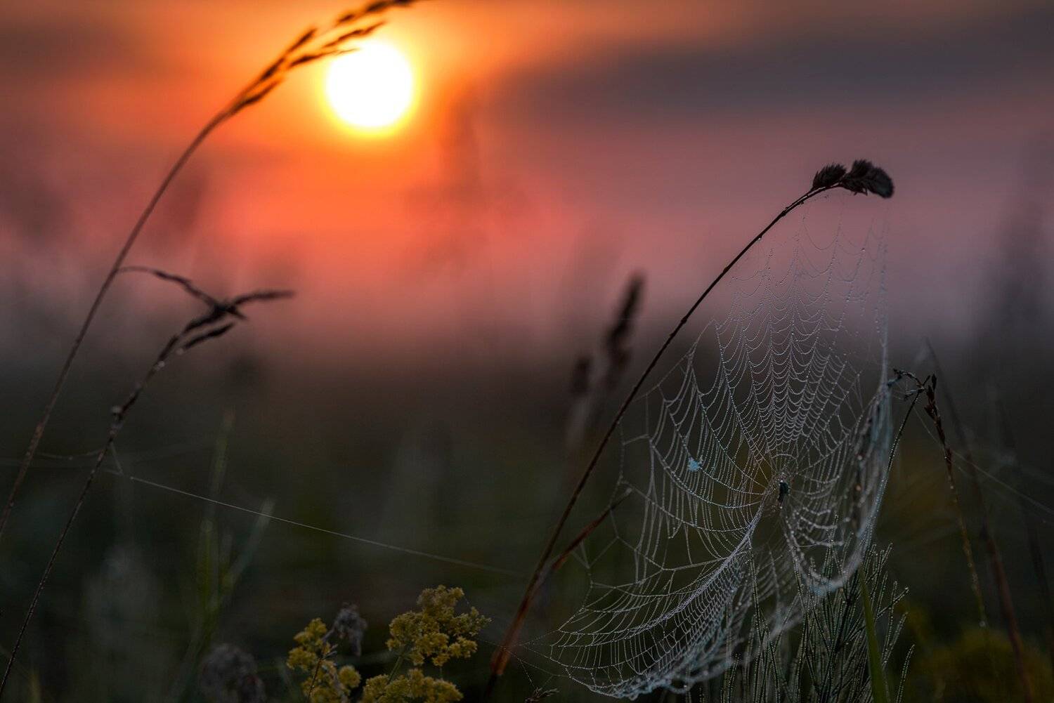 , Юрий Юрьев