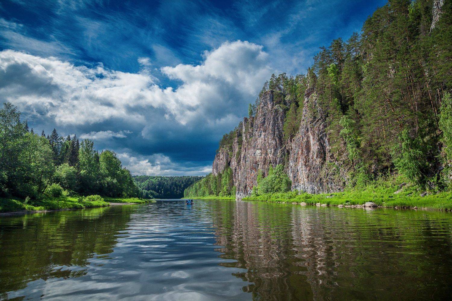 , Андрей Бортников