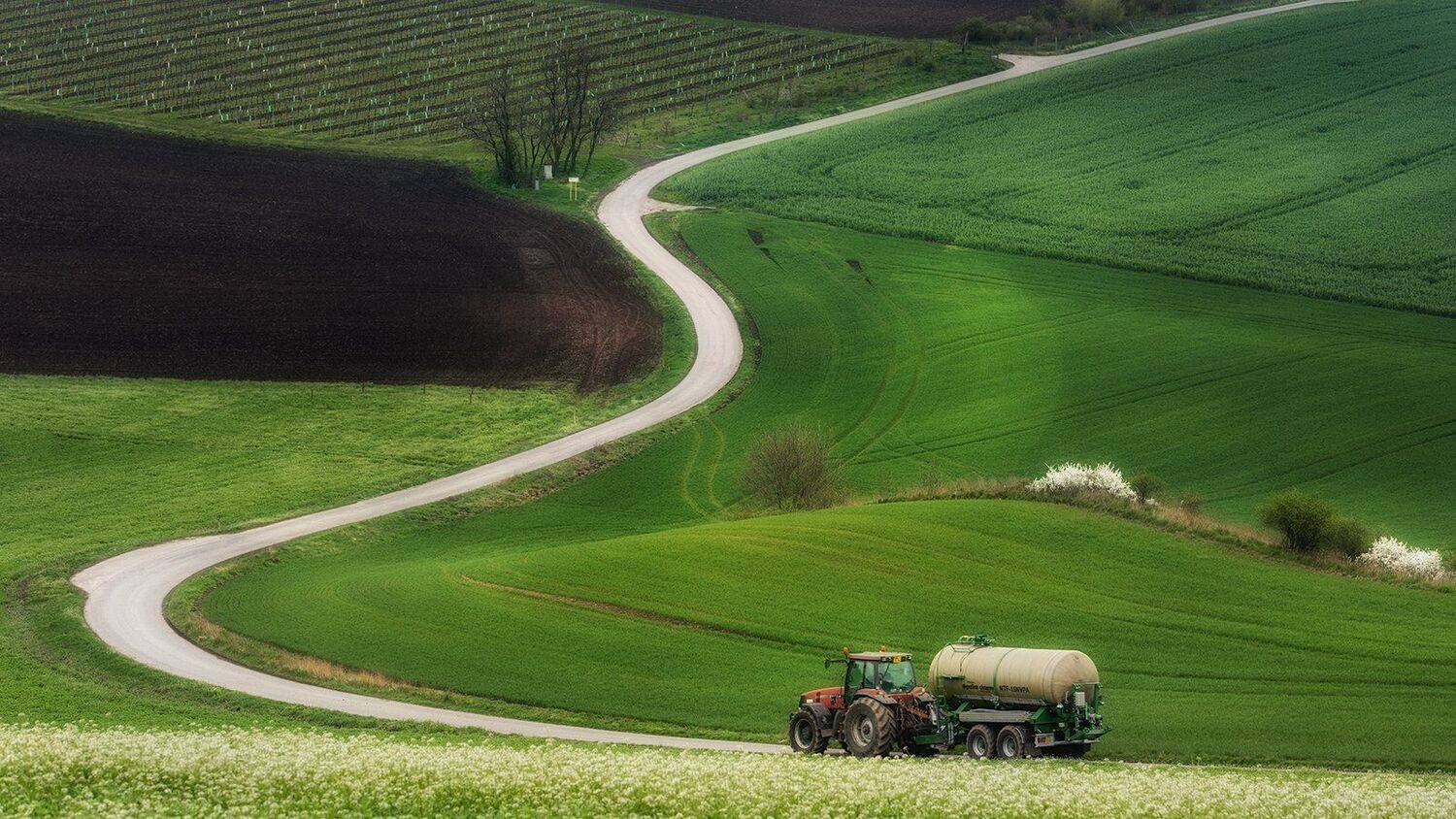 моравия, чехия, Василий Яковлев