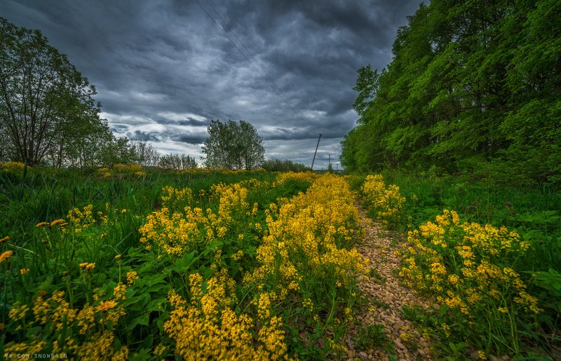 пейзаж, природа, путешествия, travel, wildlife, nature, landscape, canon, colours, тучи, clouds, dramatic sky, грозовое небо За 5 минут до ливня фото превью