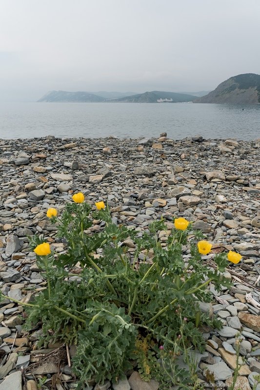 Большой Утриш фото превью