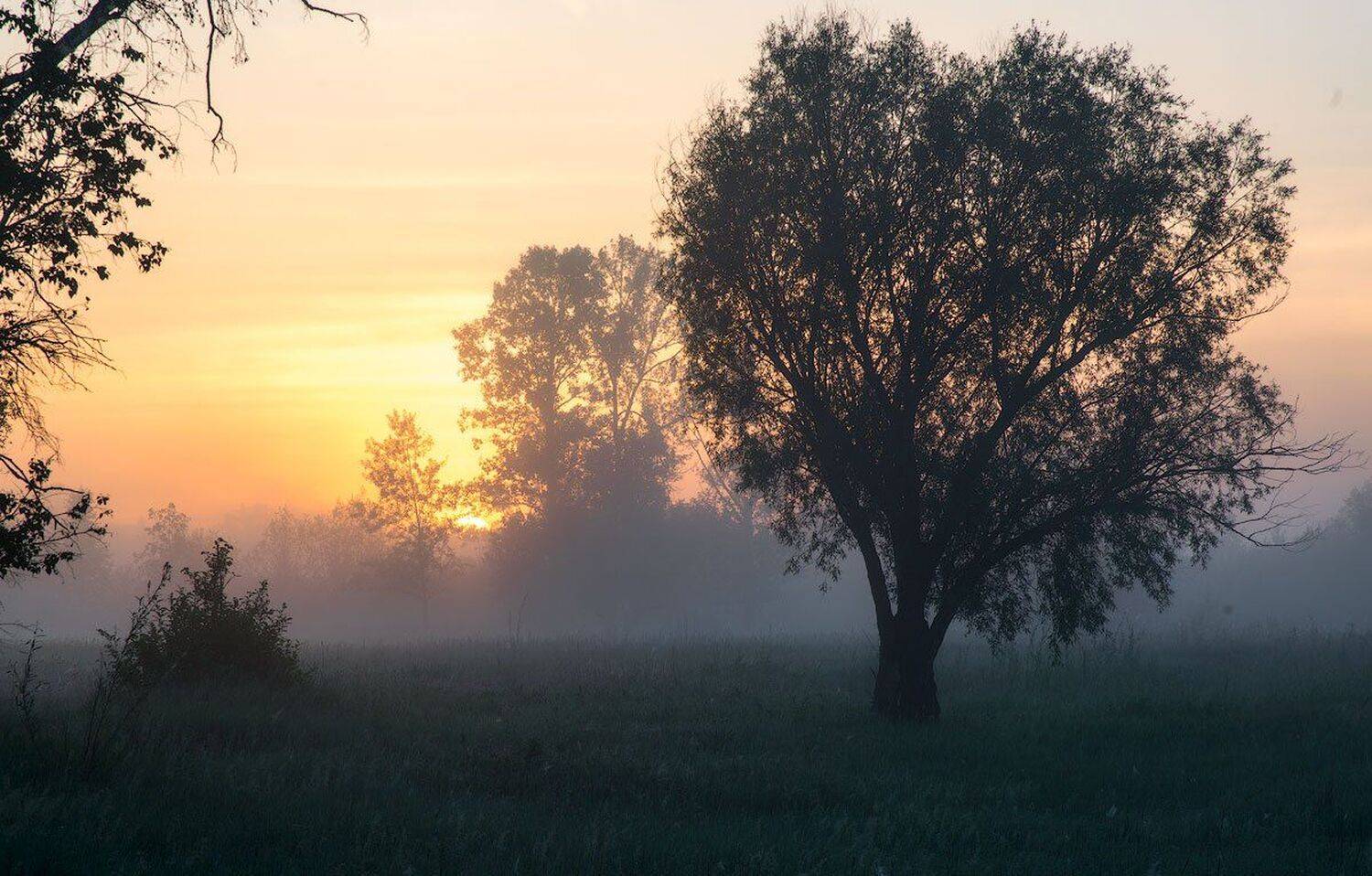 , Сергей Брагин