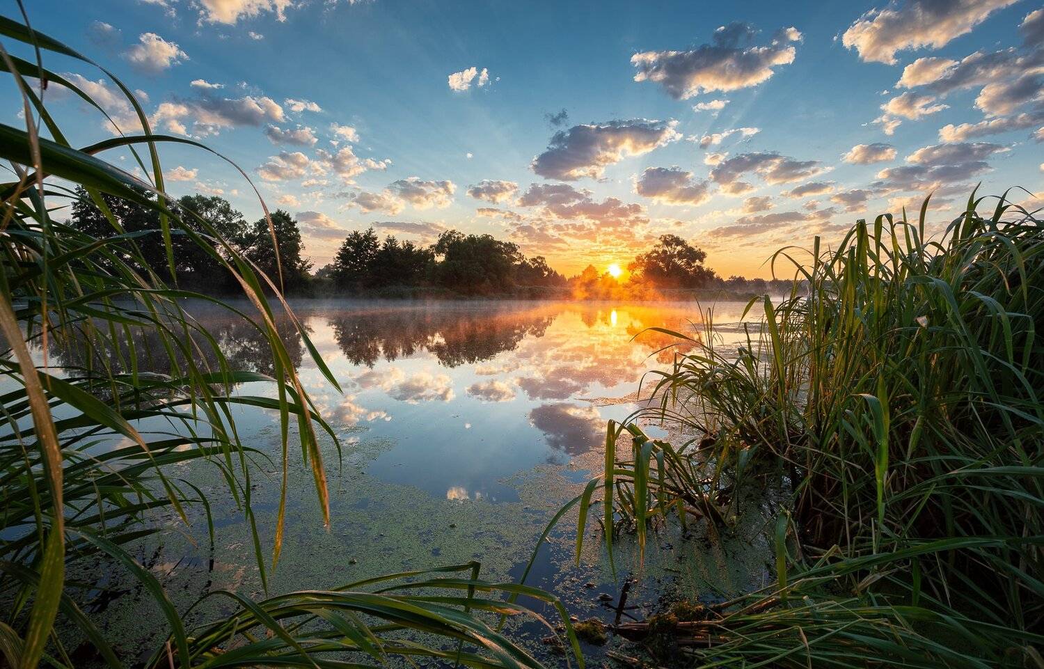 , Александр Бредихин
