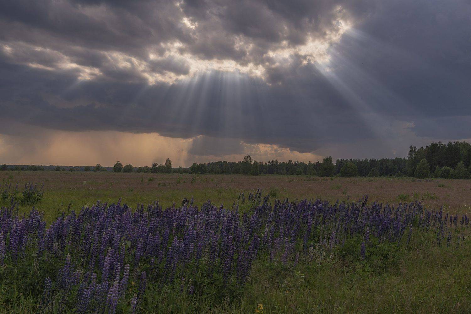 Фототуры с Владимиром Рябковым., Владимир Рябков