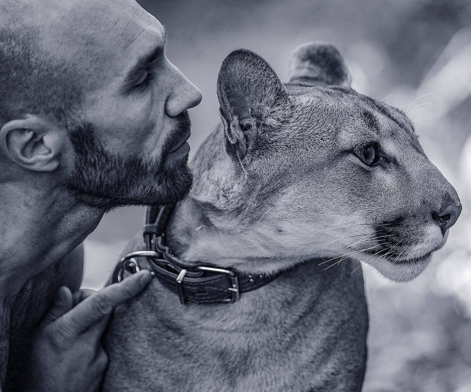 , Сергей Борисов