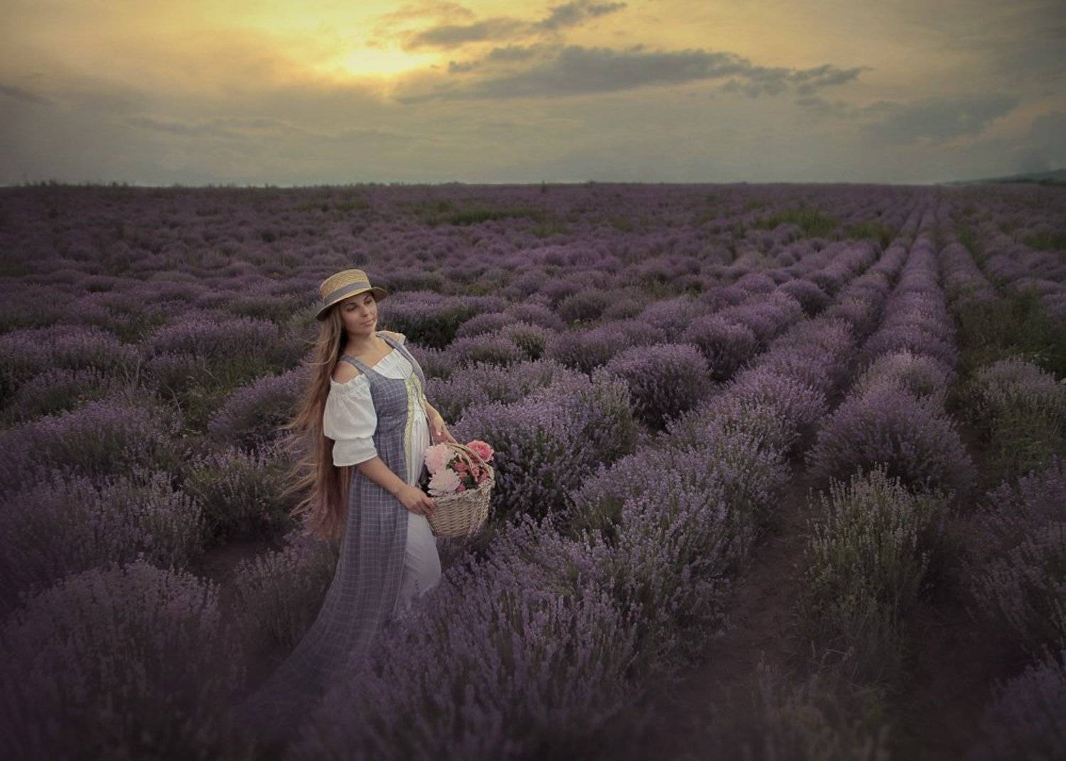 лаванда, Наталия Шевцова