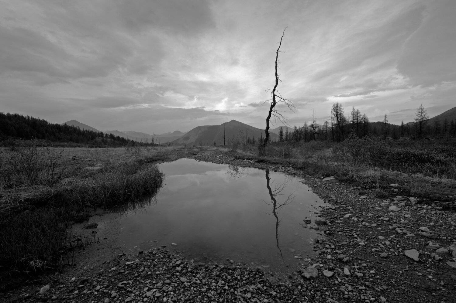 горы, дерево, дорога, лужа, Борис Леваков