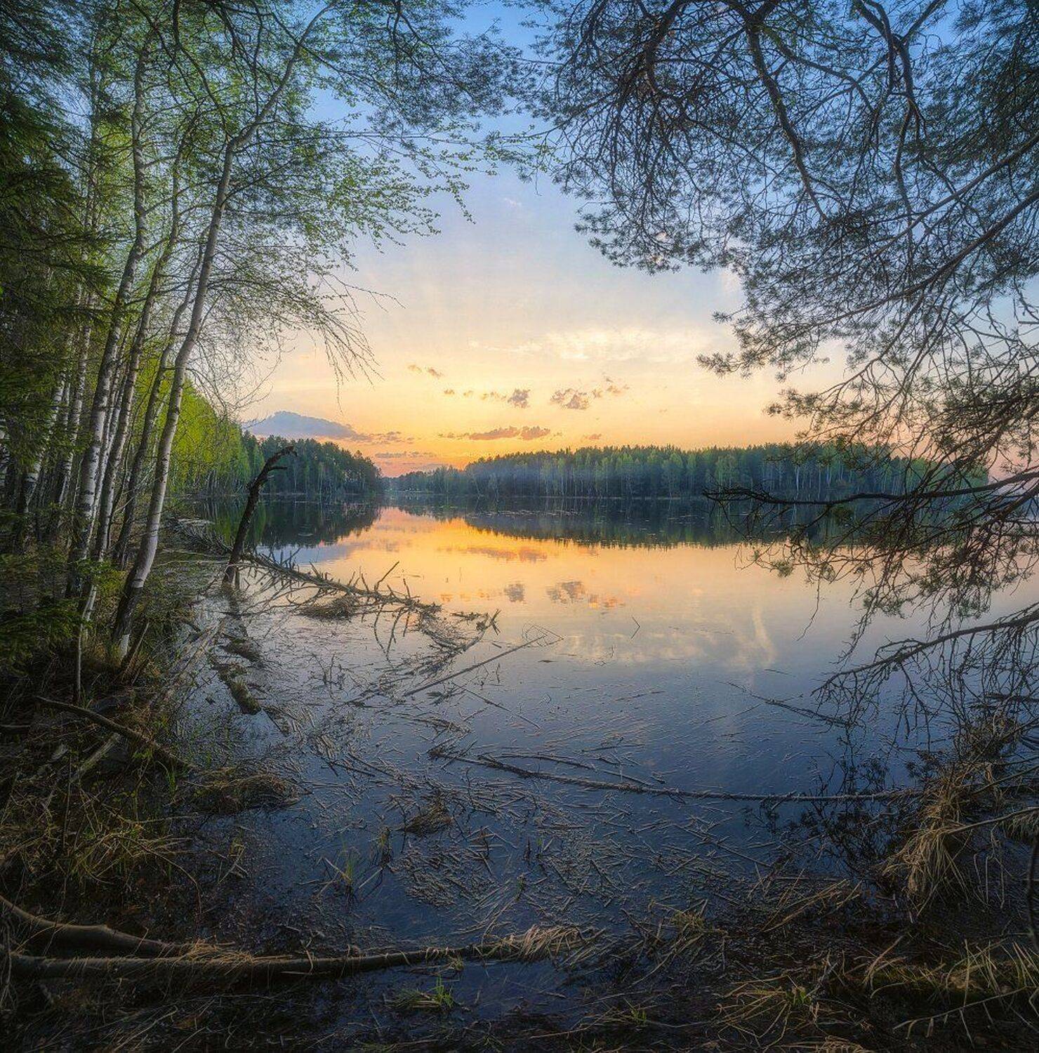 , Устюжанин Михаил