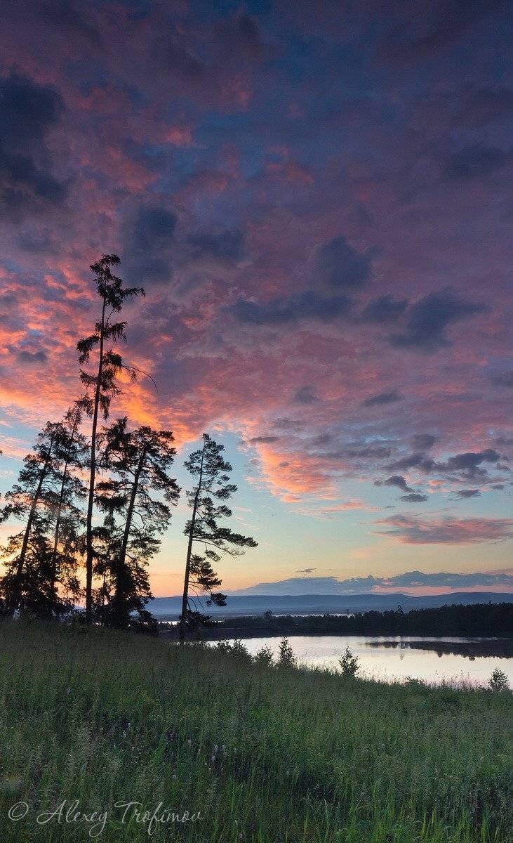 , Алексей Трофимов