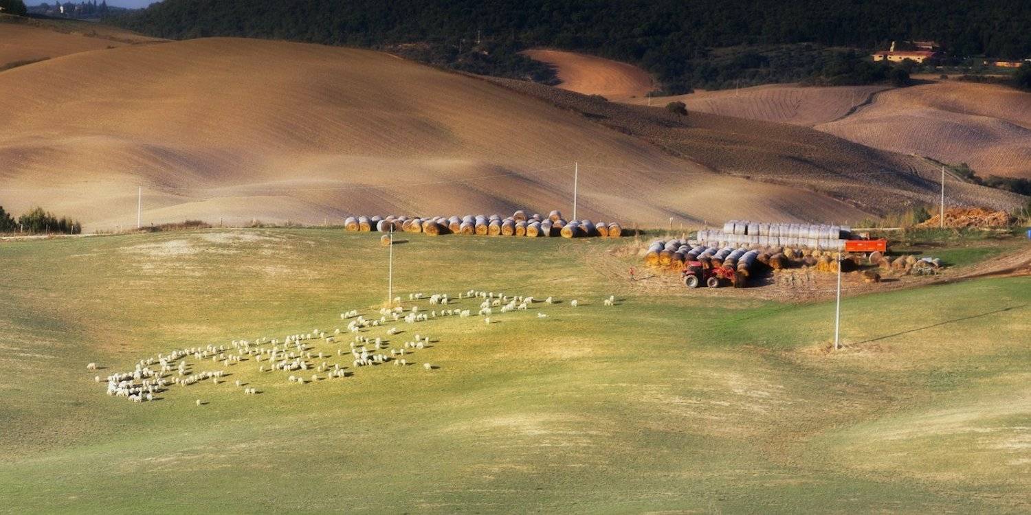 , Игорь Криницын