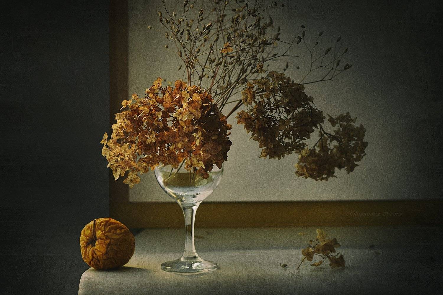 , Шипунова Ирина