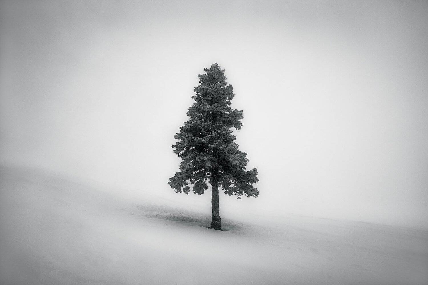 , Szabo Zsolt Andras