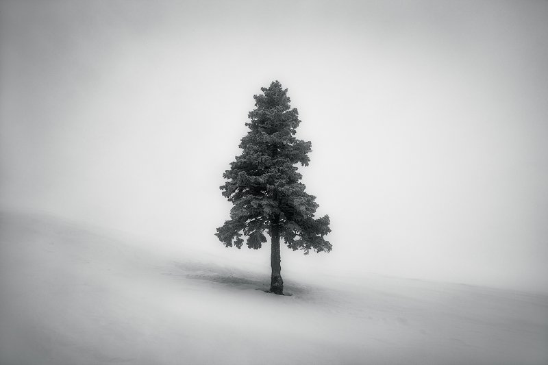 The One фото превью