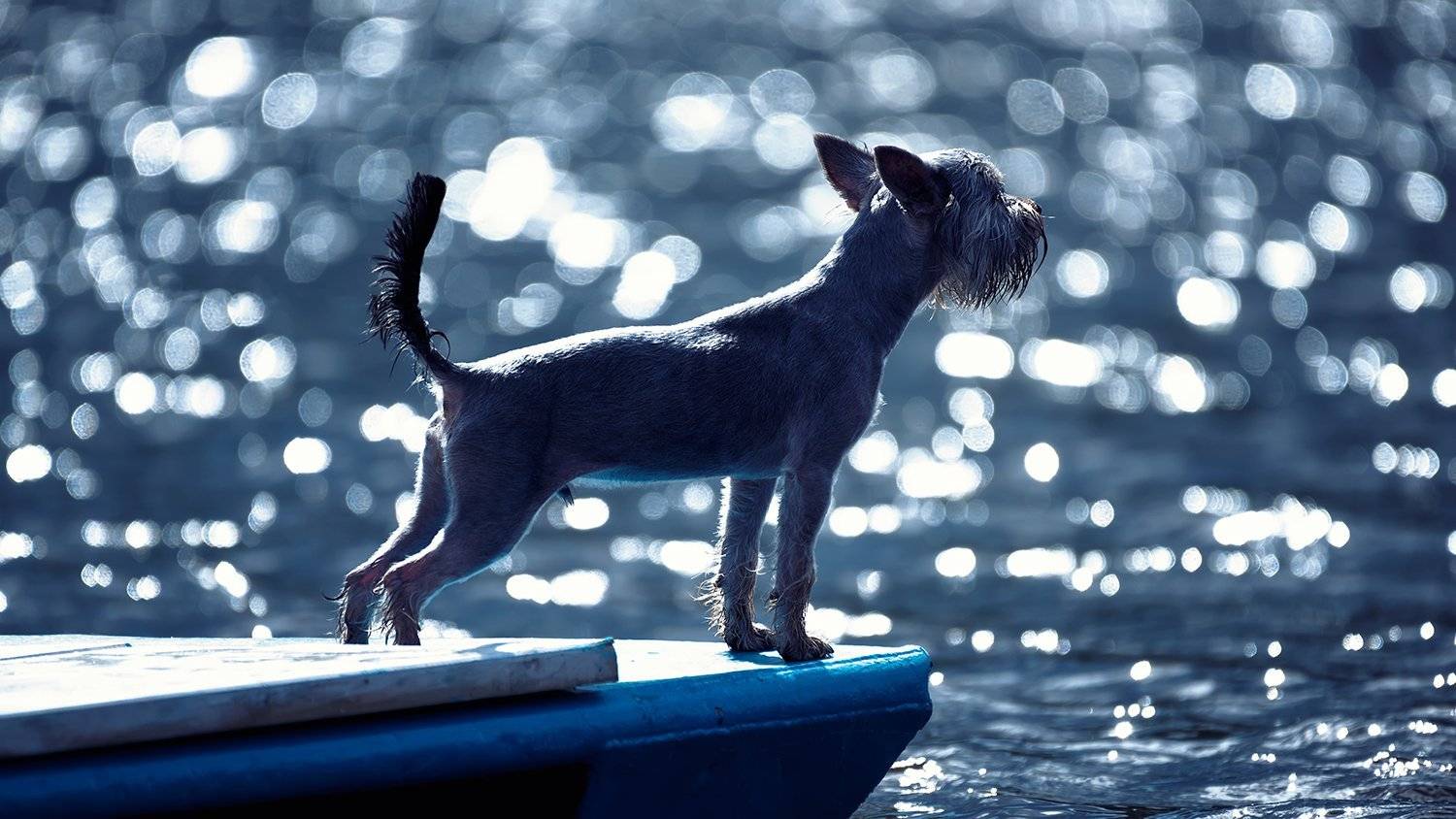 , Сергей Скоробогатов