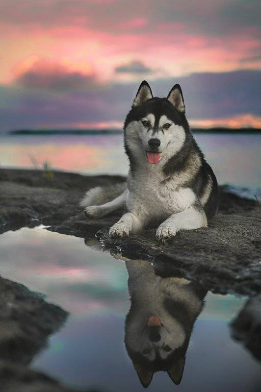 , Андрей Ершов