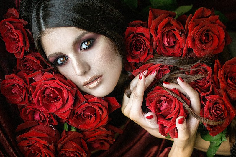 Розы фото превью