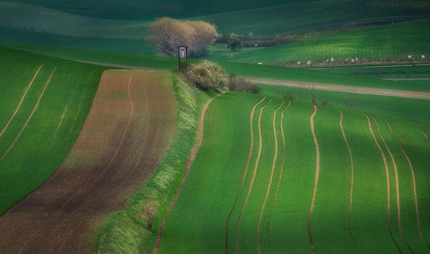 моравия, чехия, Василий Яковлев