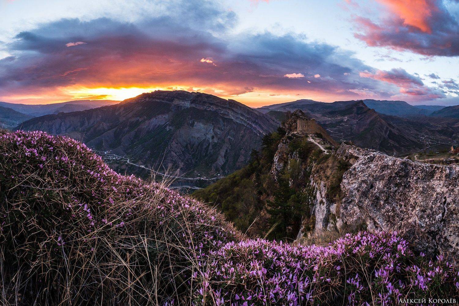 дагестан, гуниб, кавказ, россия, панорма, восход, природа, пейзаж, весна, горы, цветы, dagestan, gunib, caucasus, russia, panorama, sunrise, nature, landscape, spring, mountains, flowers, Алексей Королёв