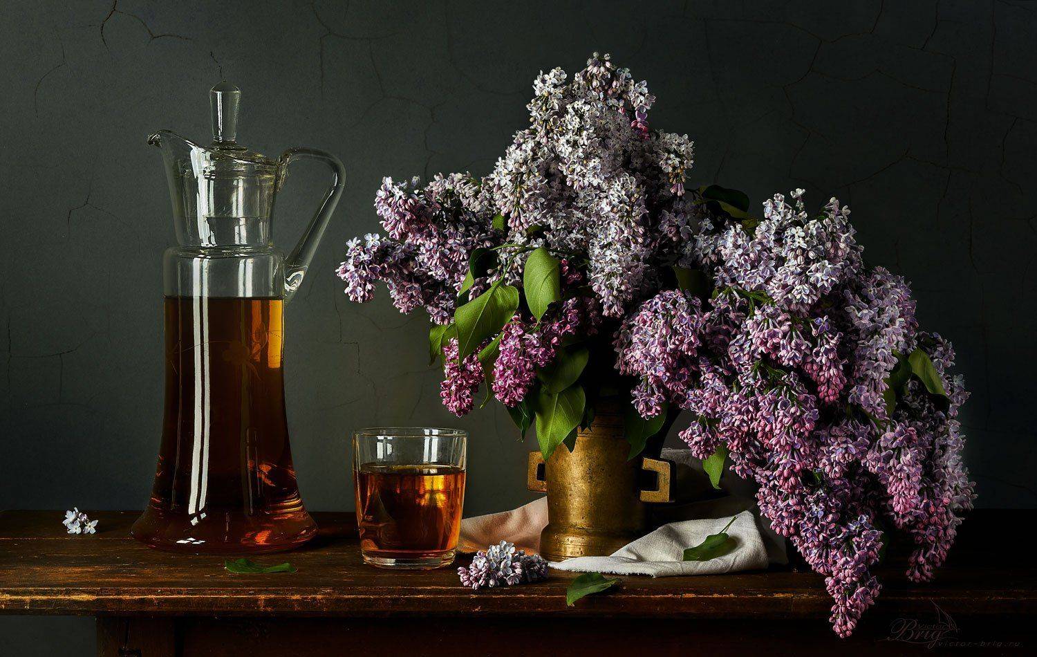 сирень бокал морс, Виктор Бриг