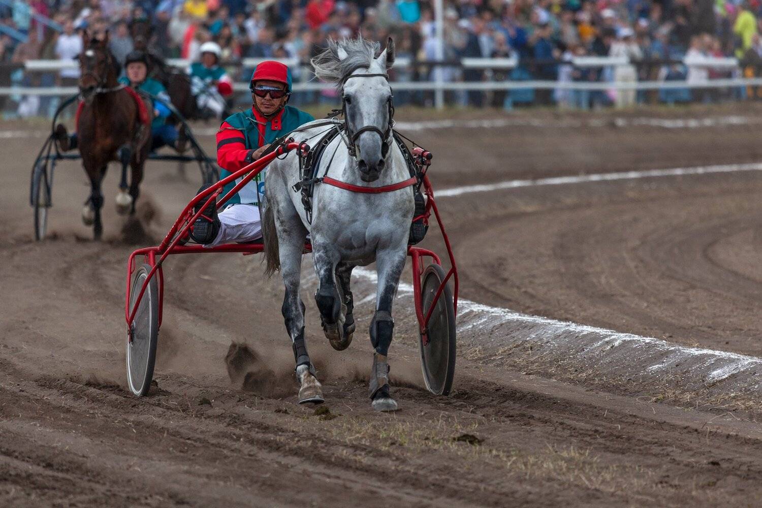 сабантуй, бега, Марат Кучкаев