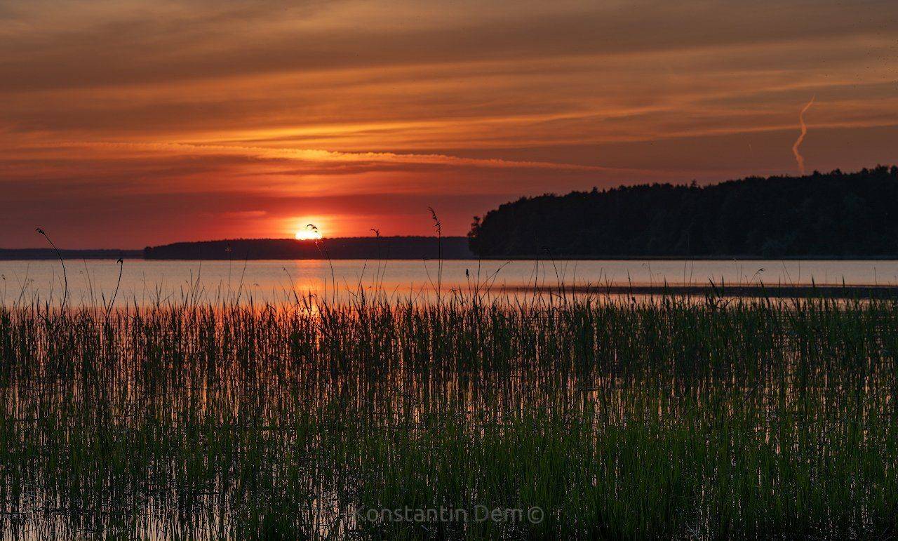 , Константин Дэм