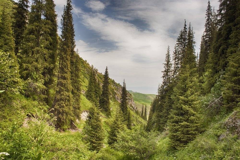 кыргызстан, горы, Элина Магалимова