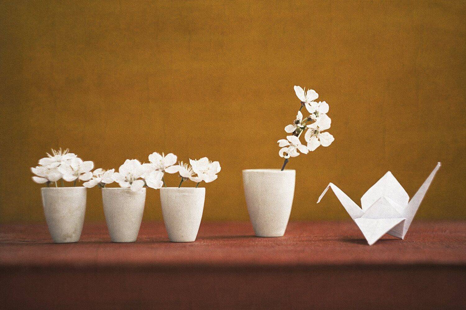 натюрморт, бумажный журавлик, память, япония, садако, Ольга Алексейчик