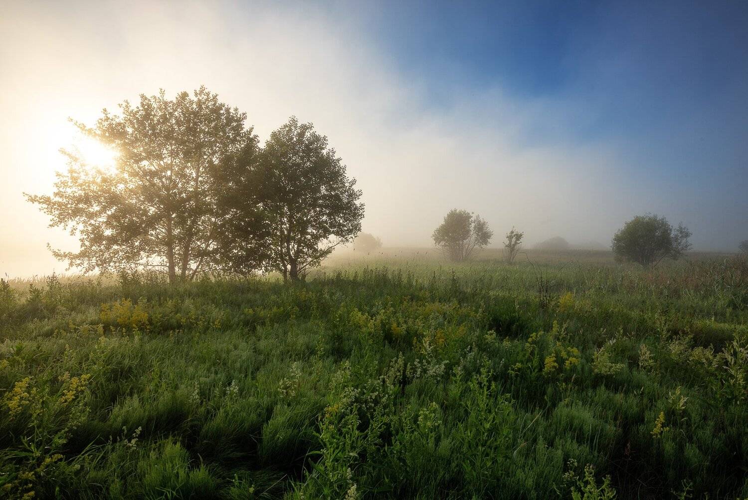 , Александр Бредихин