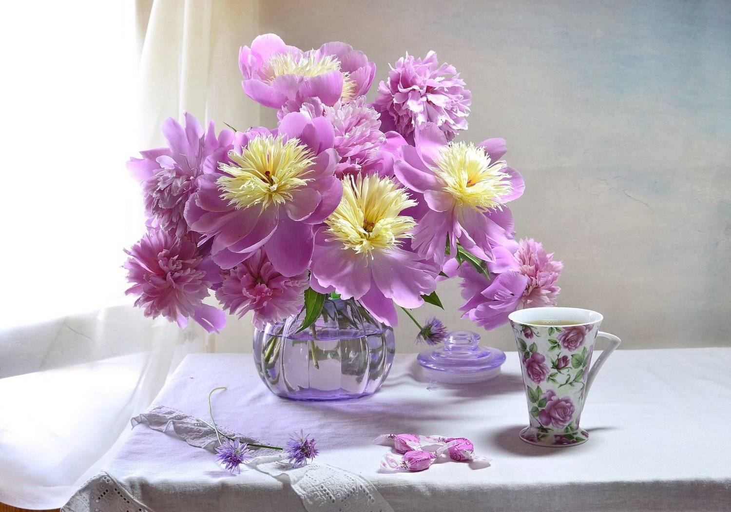 натюрморт,букет,свет,композиция,пионы,лето, Инаида