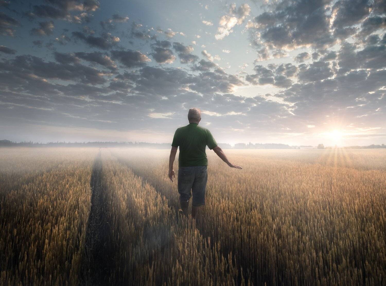 , Сергей Москалянов