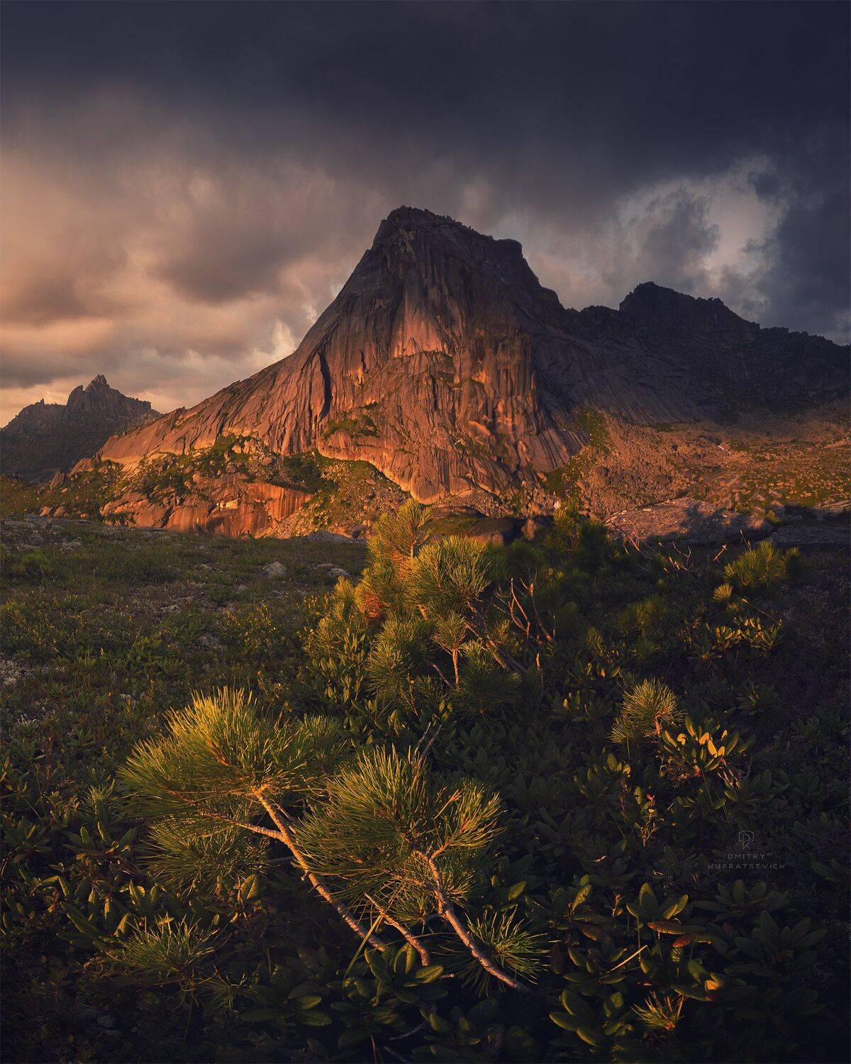 , Дмитрий Купрацевич