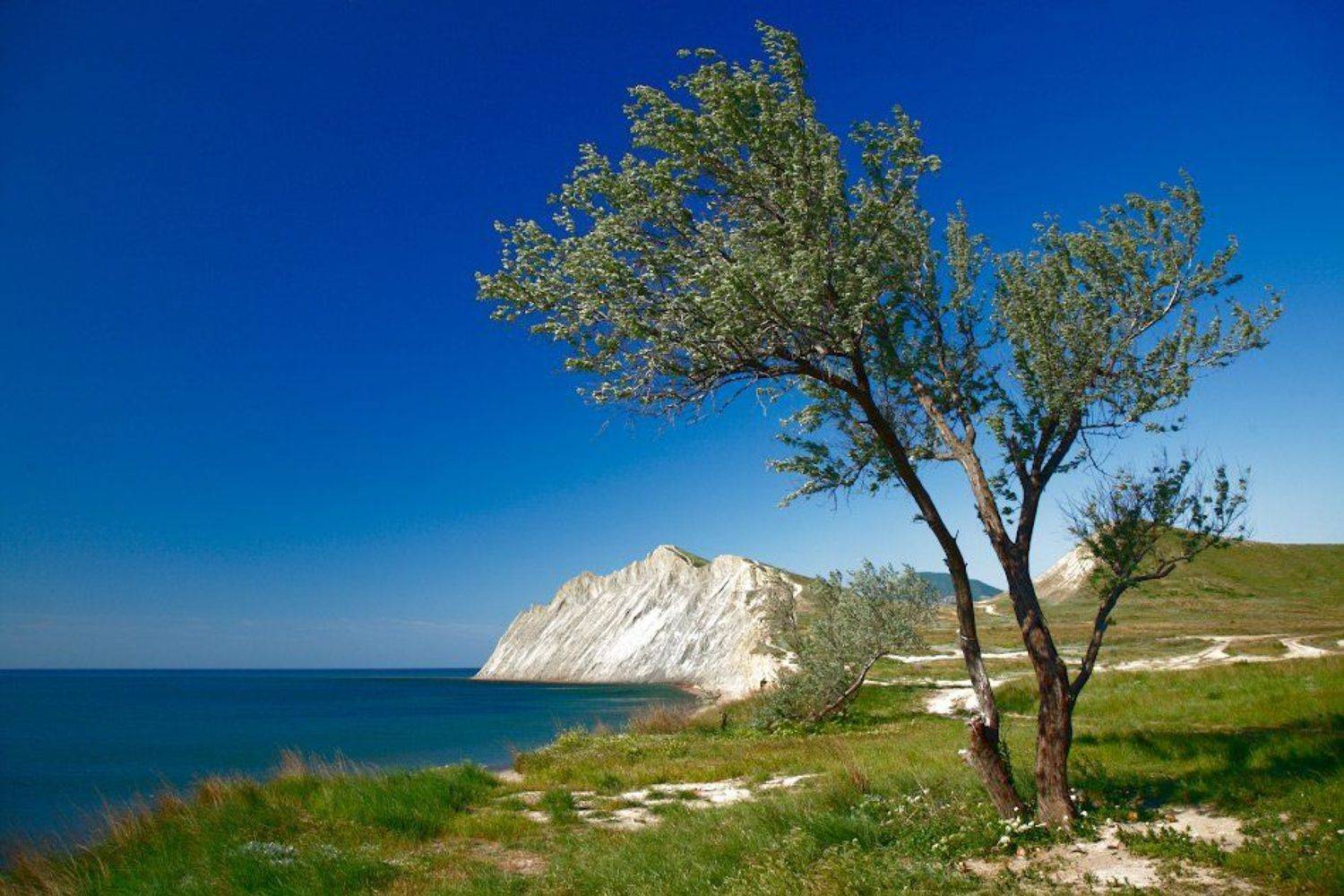 крым, море, берег, Андрей Гусаченко