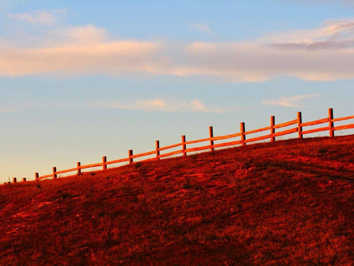 заход, солнце, земля, трава, ограда, sunset, island, earth, grass, fence, Дмитрий Салтыков