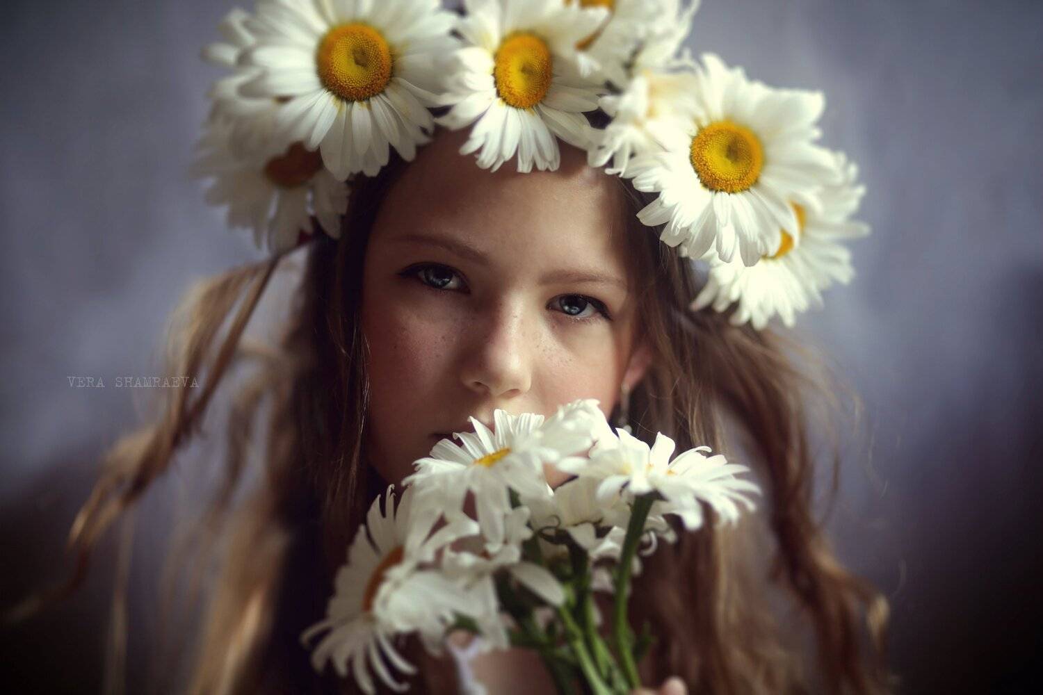 девочка с ромашками студийный художественный портрет вера шамраева, Вера Шамраева