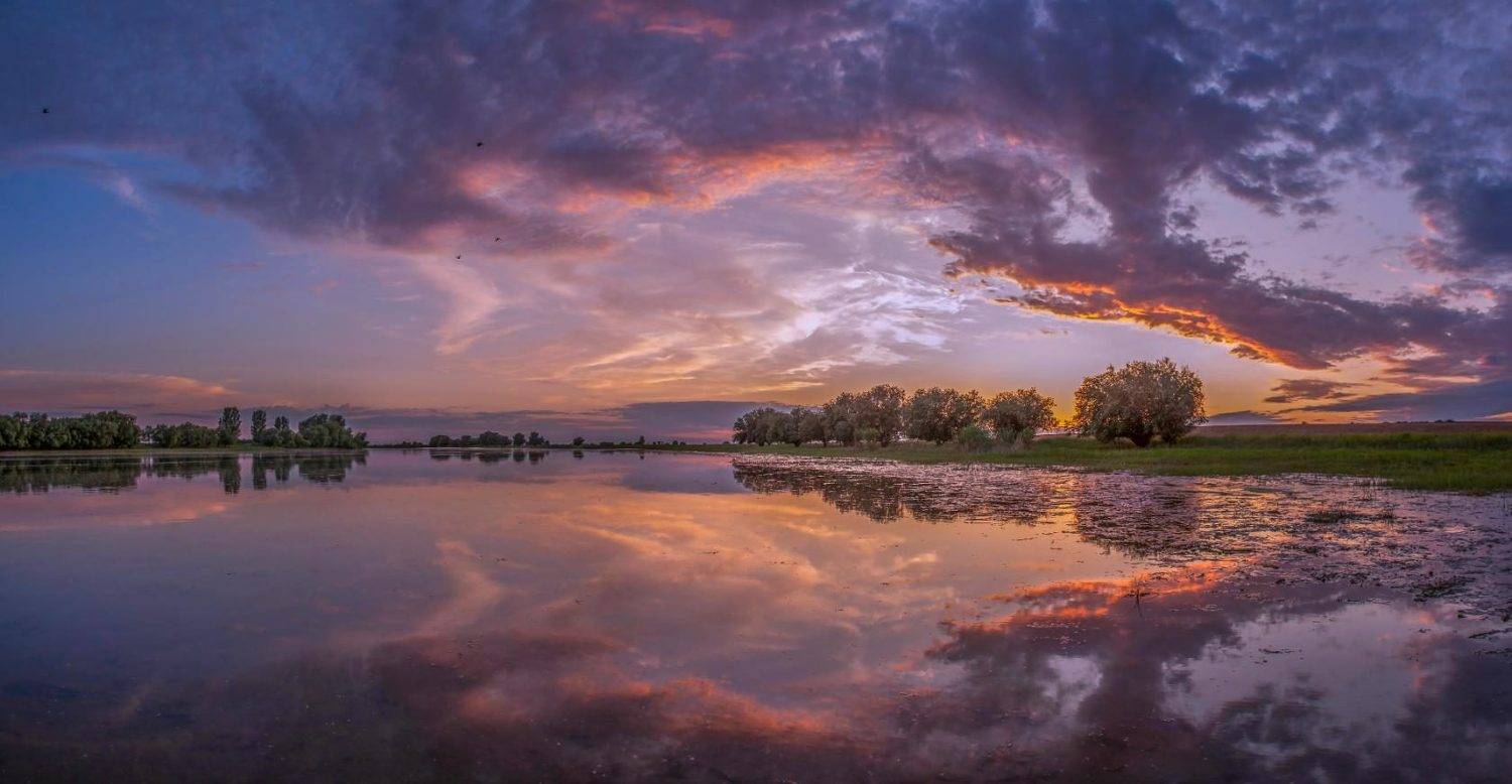 фото сделано на протоке у с.камышово астраханской обл, Сергей цыбизов