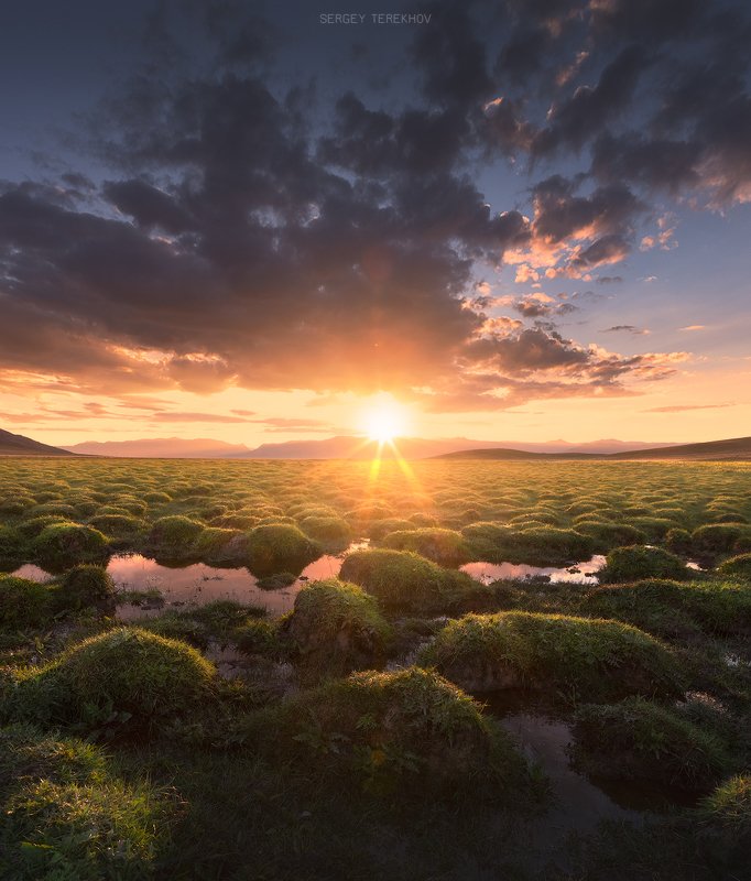 хан-тенгри, тузколь, казахстан, тянь-шань, Кочки озера Тузколь фото превью