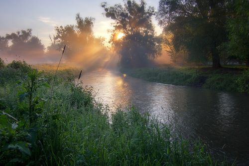 Рассвет у реки