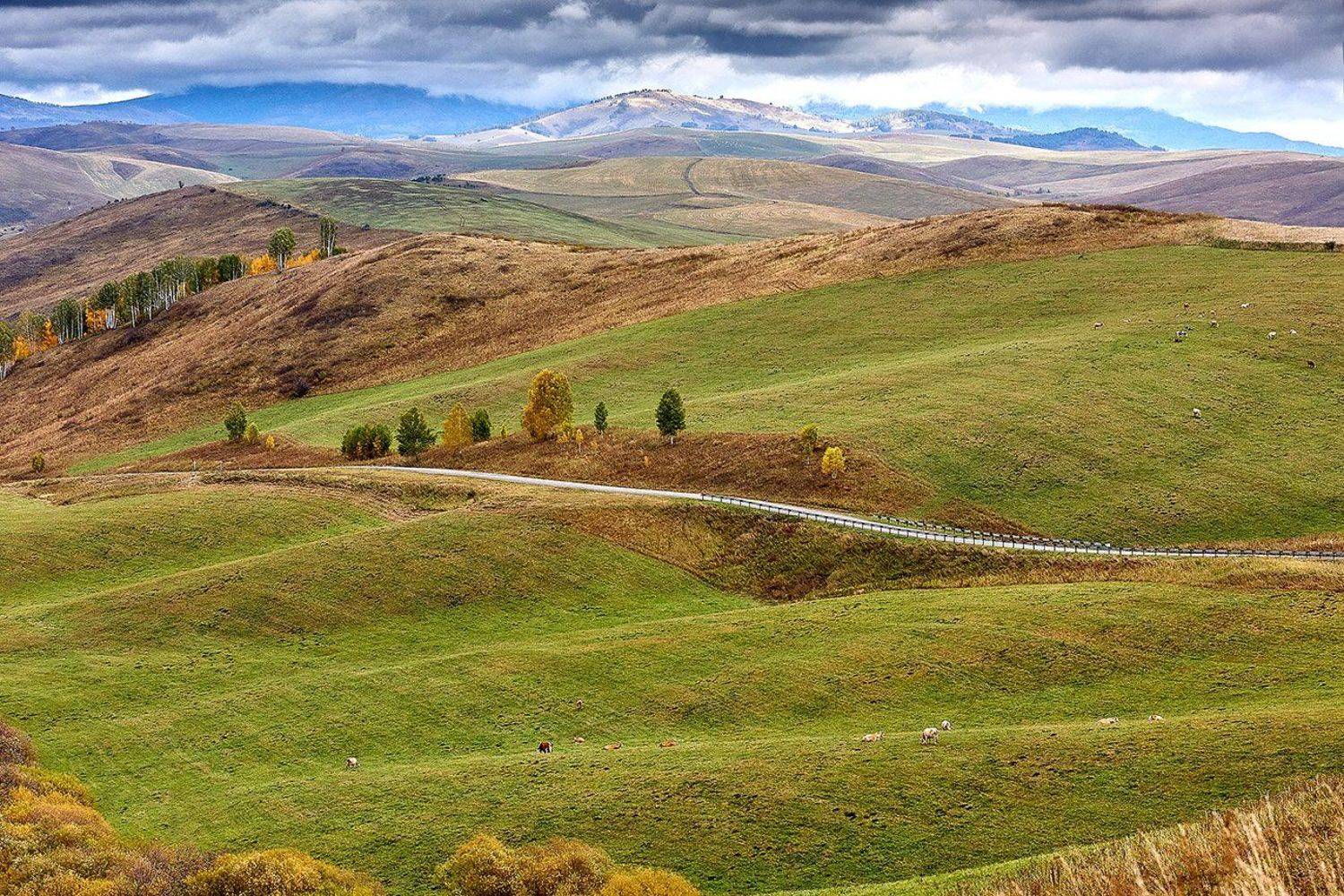 алтай, ледник актру, актру, алтайский край, долина, весна,осень, лиственницы, ледник,ледники, Качурин Алексей