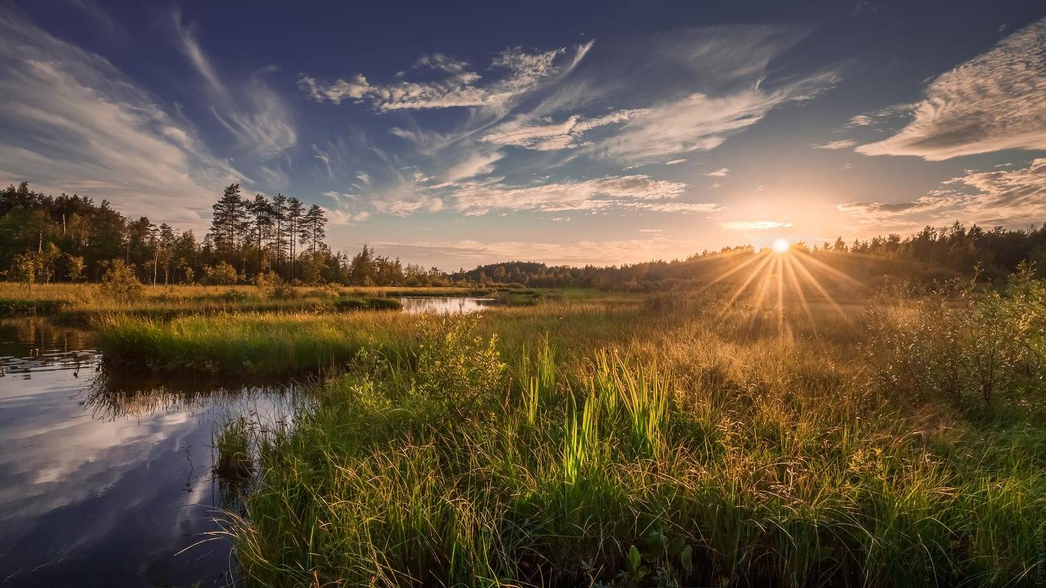 , Евгений Луцко