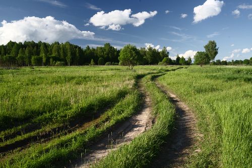 Классический пейзаж с полем и дорогой.